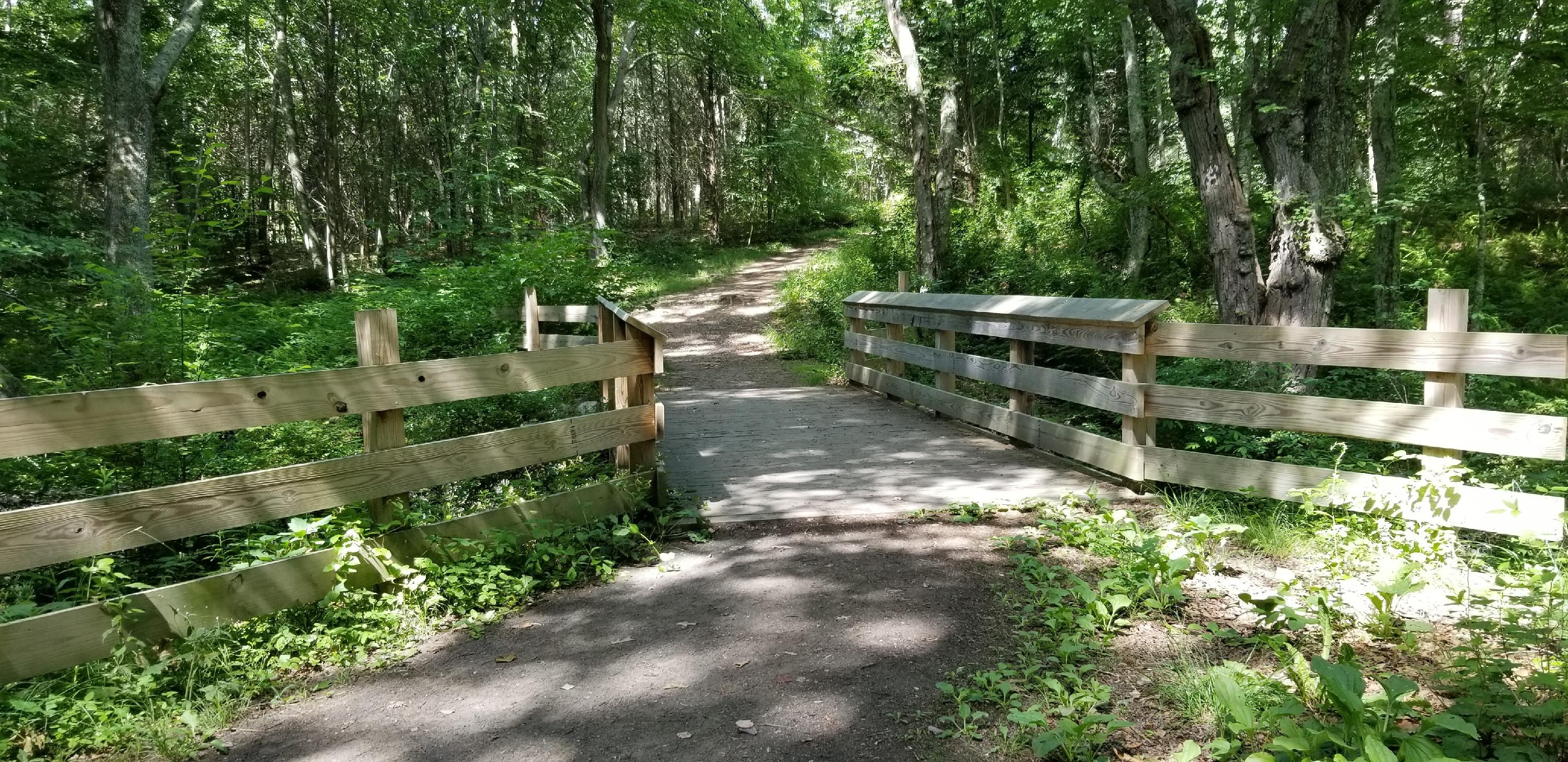 Copp Family Park: ‘Another hidden gem in Groton’ Photo