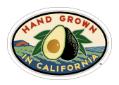 California Avocado Commission