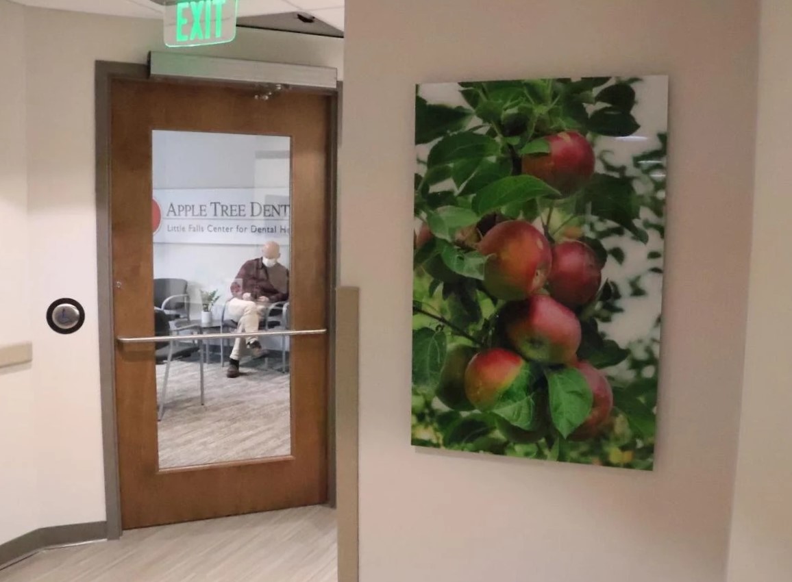 Apple Tree Dental celebrates grand opening in Little Falls Photo