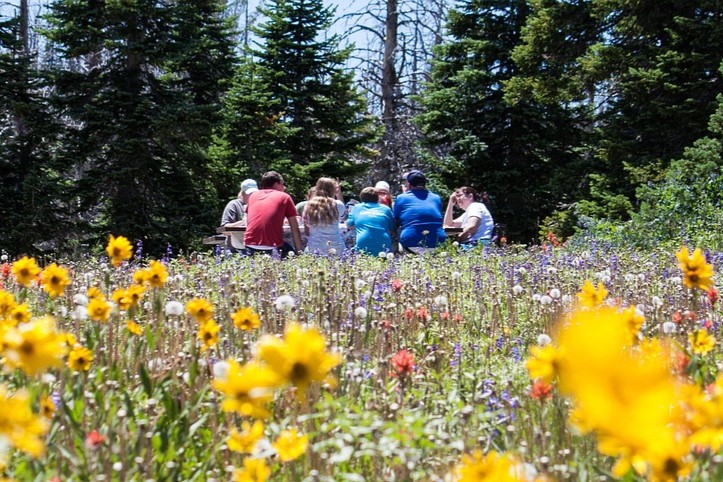 Farm Picnic Highlights Rural Health, Medicaid Cuts Photo