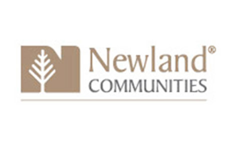 Newland Slide Image