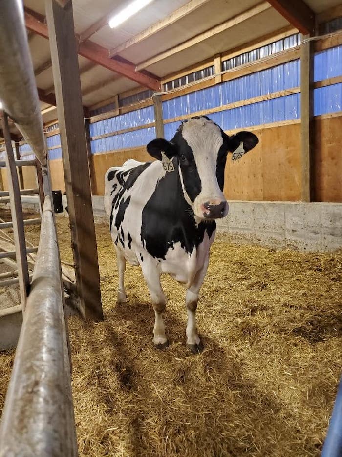 Click the The Todd County Breakfast on the Farm: Come, Experience a Local Farm Slide Photo to Open