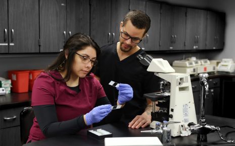 Career and Technical Education: Building a Skilled Workforce for Todd County’s Future main photo