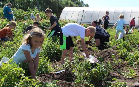 Cultivating the Future: Celebrating CLC Ag & Energy Field Day in Todd County main photo