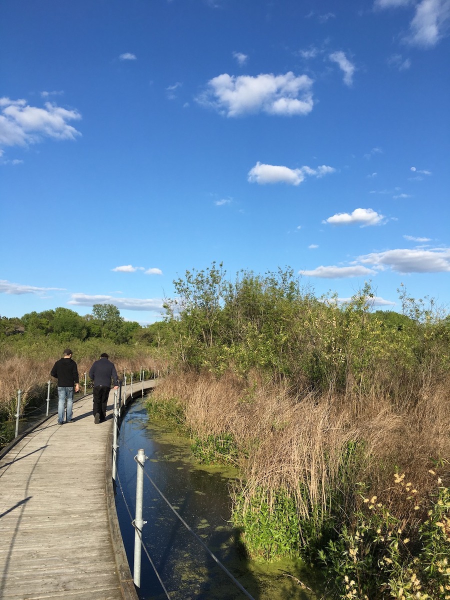 Experience the Great Outdoors in Roseville, MN Photo