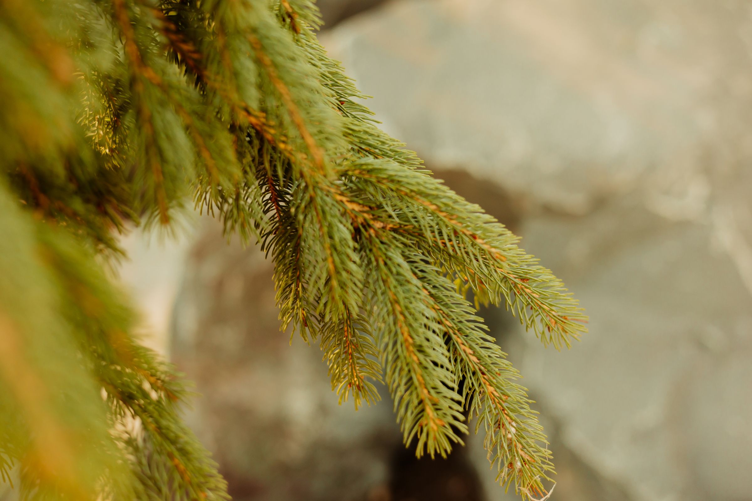 Thumbnail Image For Plaisted Companies - Click Here To See