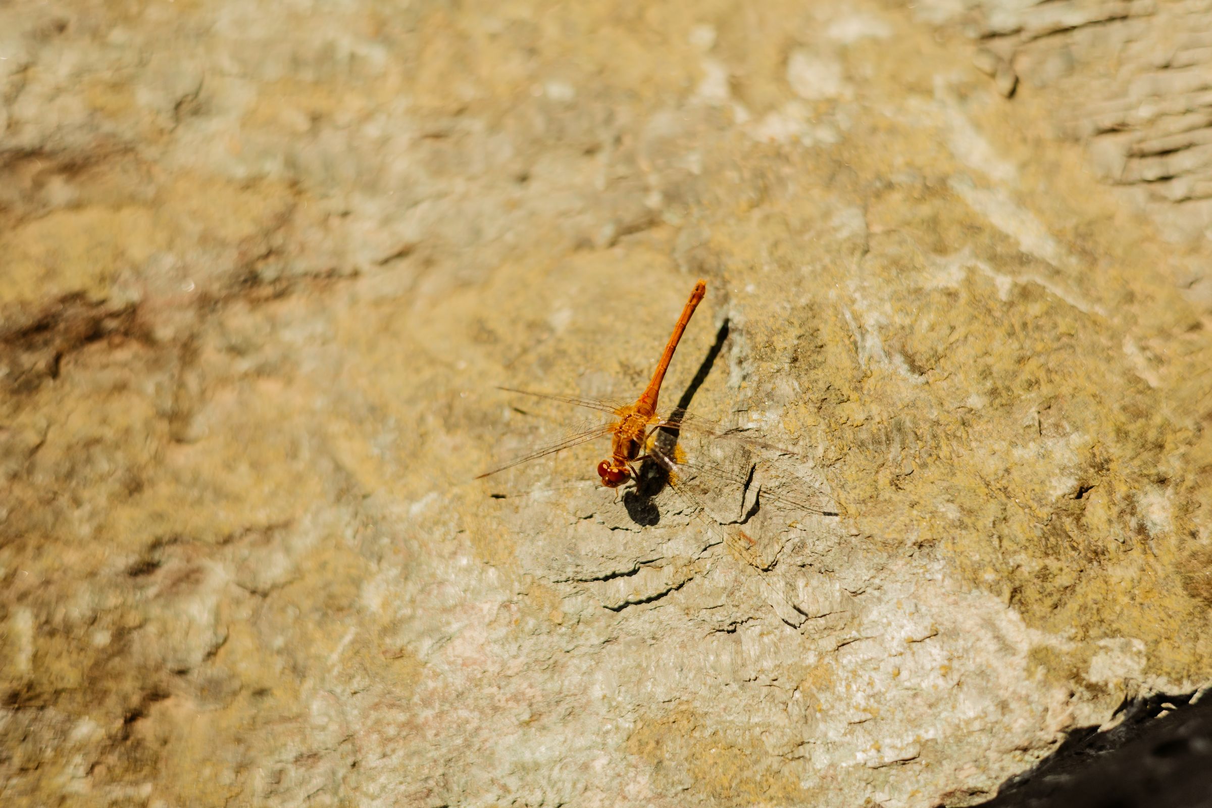 Thumbnail Image For Plaisted Companies - Click Here To See