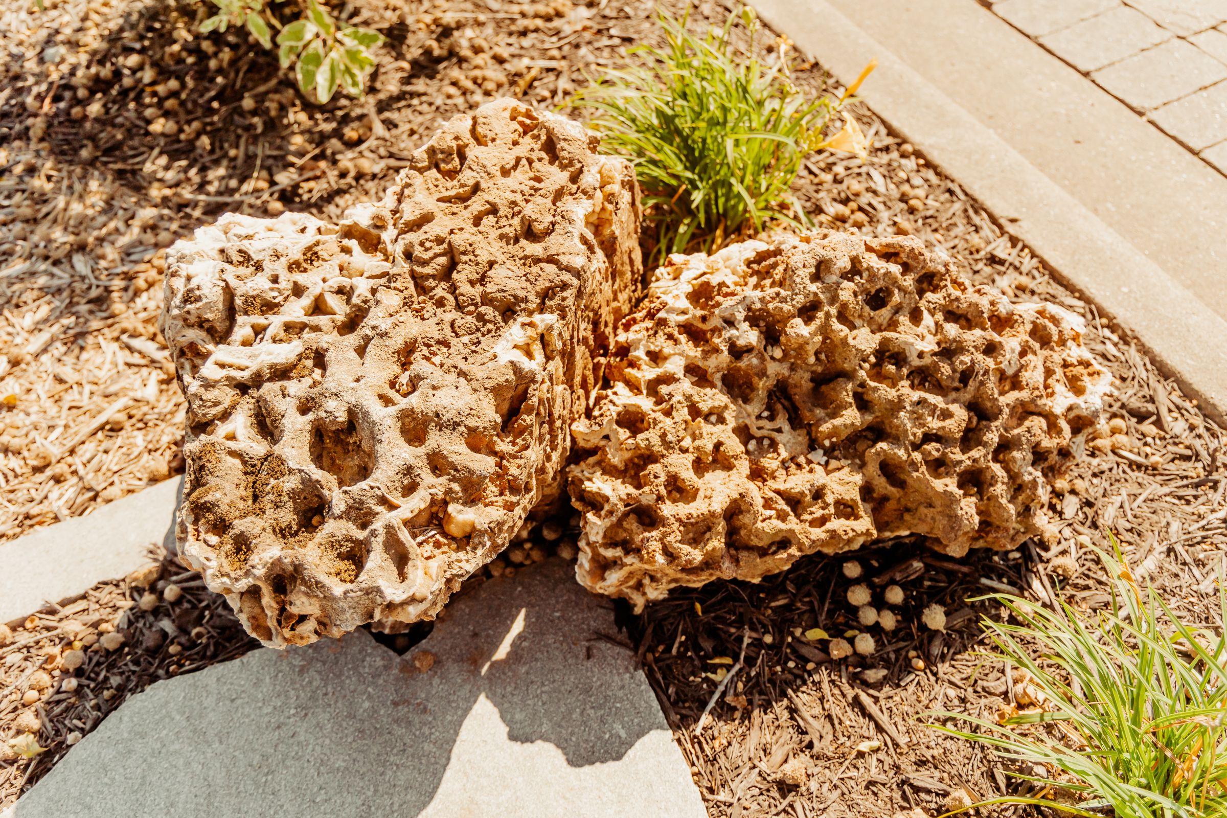 Thumbnail Image For Plaisted Companies - Click Here To See