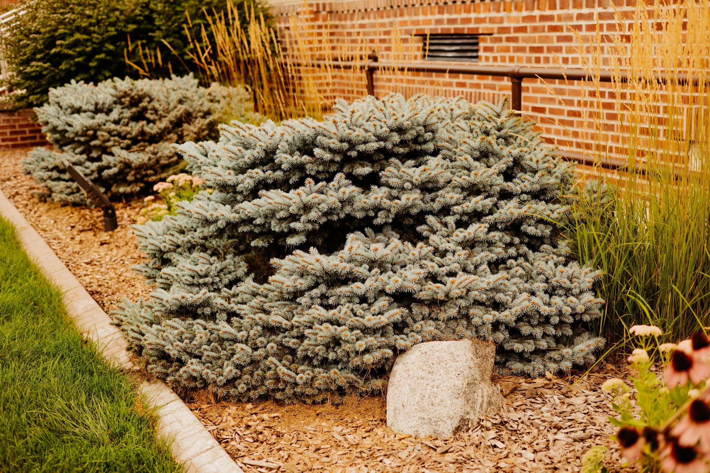 Thumbnail Image For Handke Center - Click Here To See