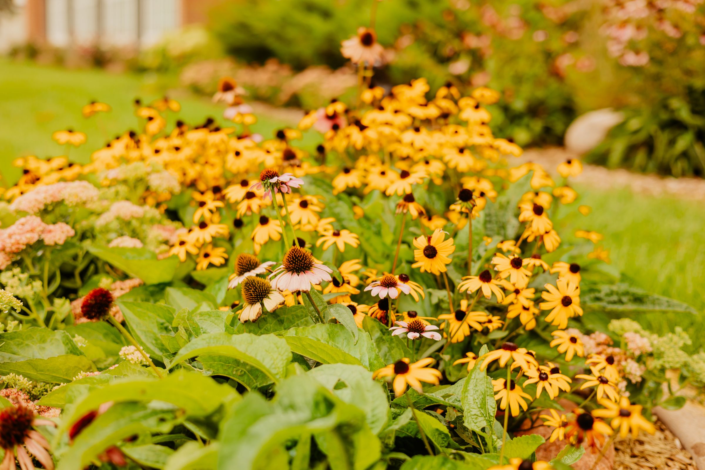 Thumbnail Image For Handke Center - Click Here To See