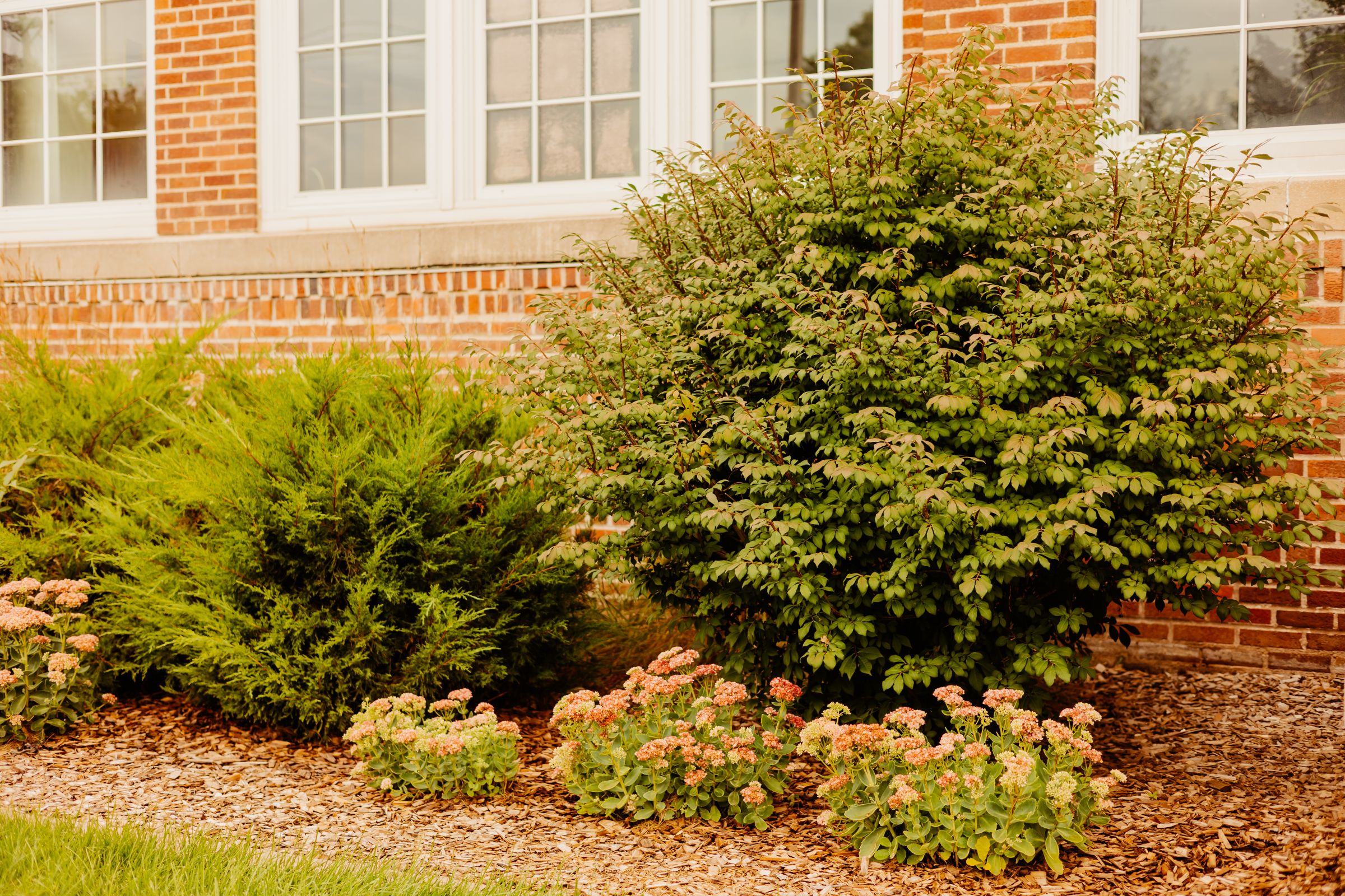 Thumbnail Image For Handke Center - Click Here To See