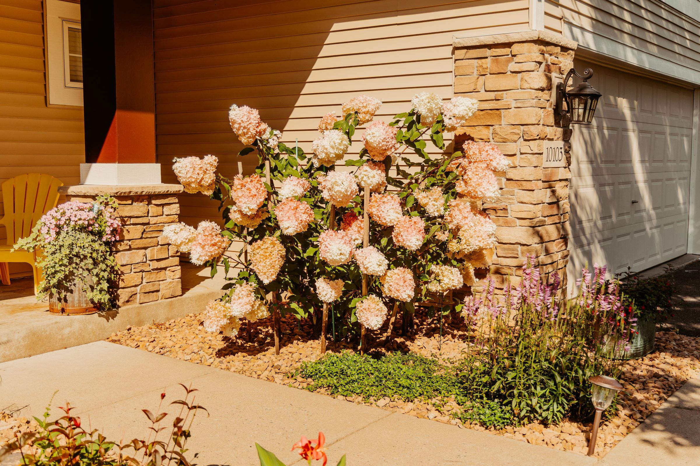 Thumbnail Image For Sarah Quesenberry - Click Here To See