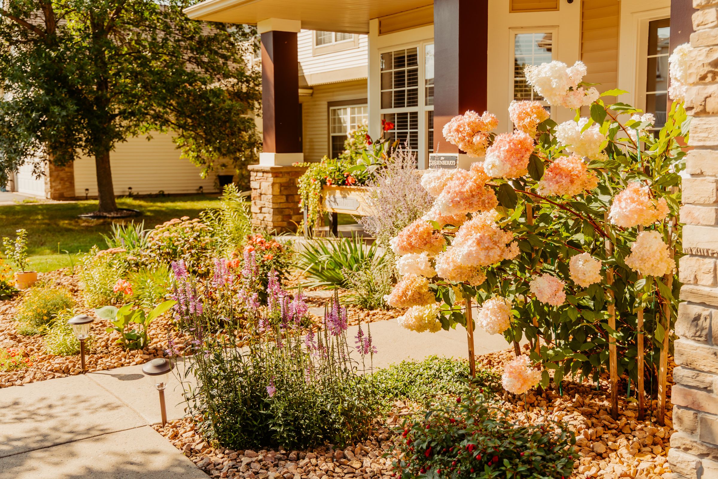 Thumbnail Image For Sarah Quesenberry - Click Here To See