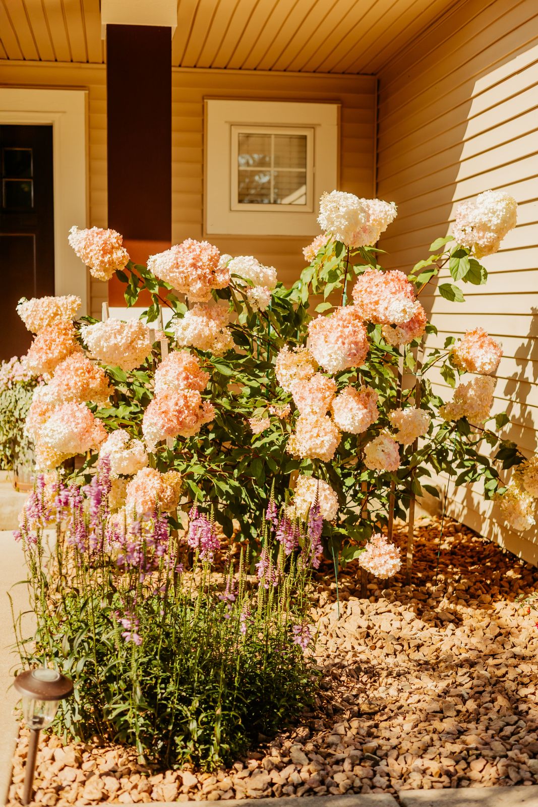 Thumbnail Image For Sarah Quesenberry - Click Here To See