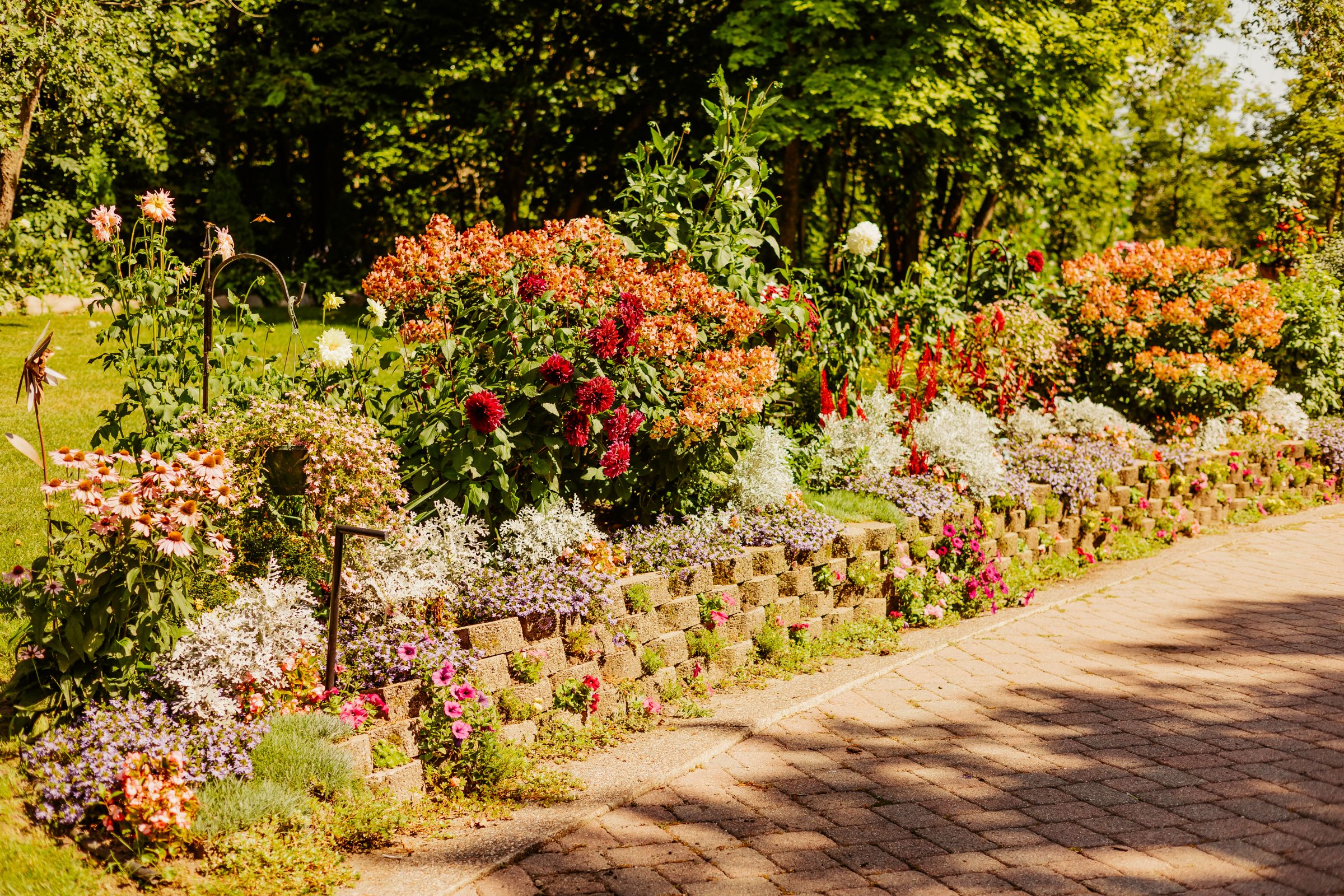 Thumbnail Image For Tracey Sando - Click Here To See