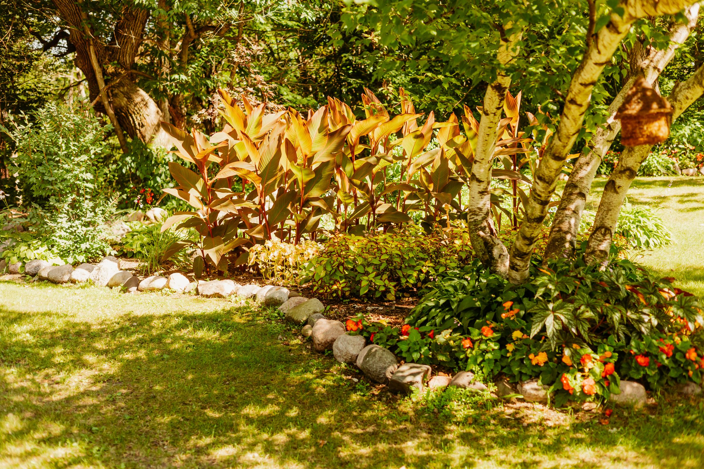 Thumbnail Image For Tracey Sando - Click Here To See