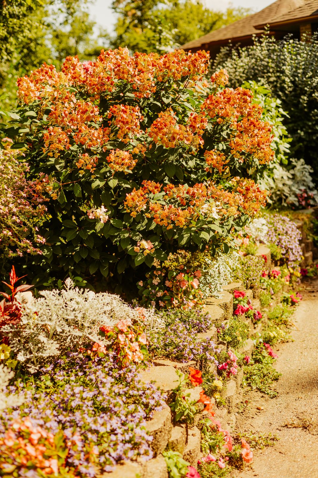 Thumbnail Image For Tracey Sando - Click Here To See