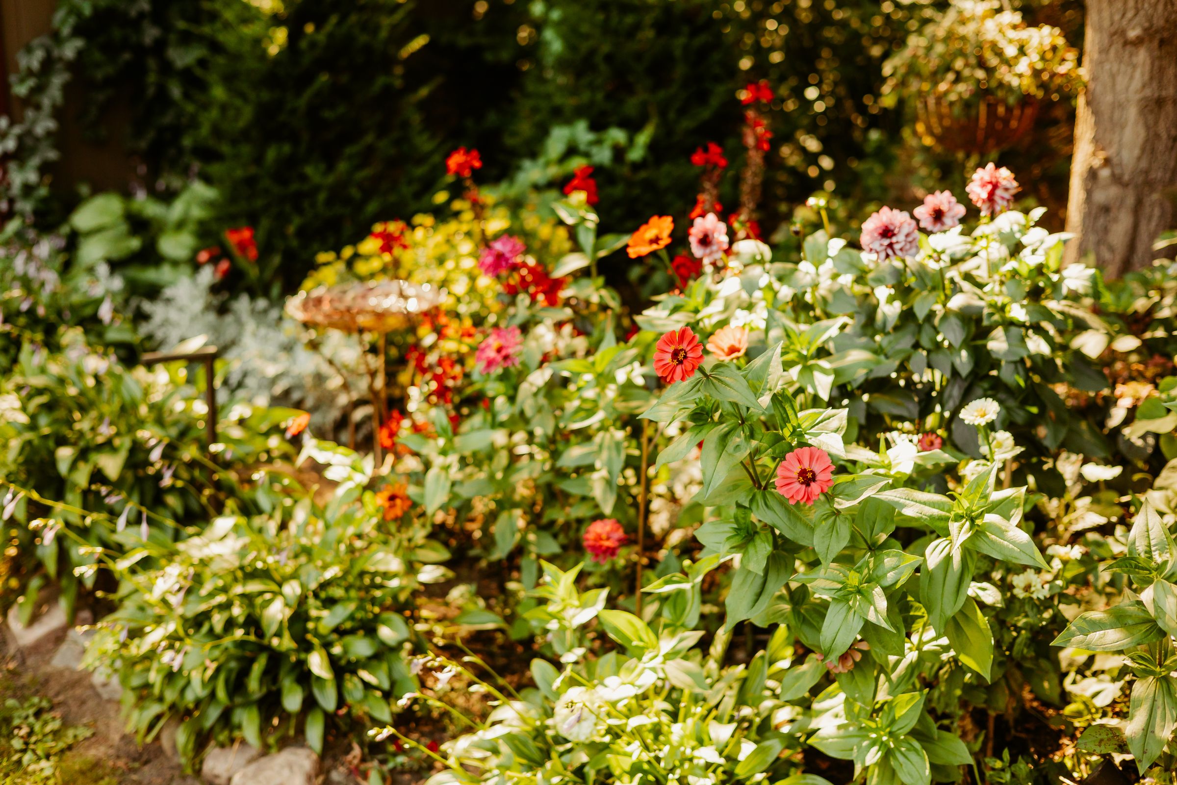 Thumbnail Image For Tracey Sando - Click Here To See