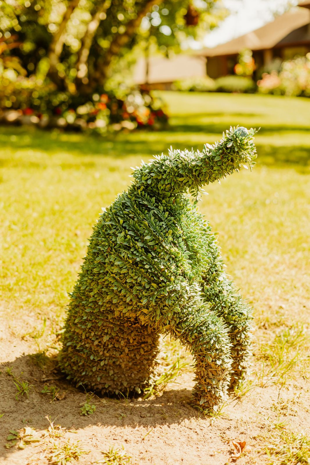 Thumbnail Image For Tracey Sando - Click Here To See