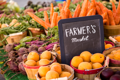 Cultivating Community and Growth: The Impact of  the Elk River Farmers Market Main Photo