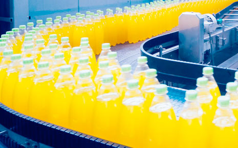 Food Production Photo