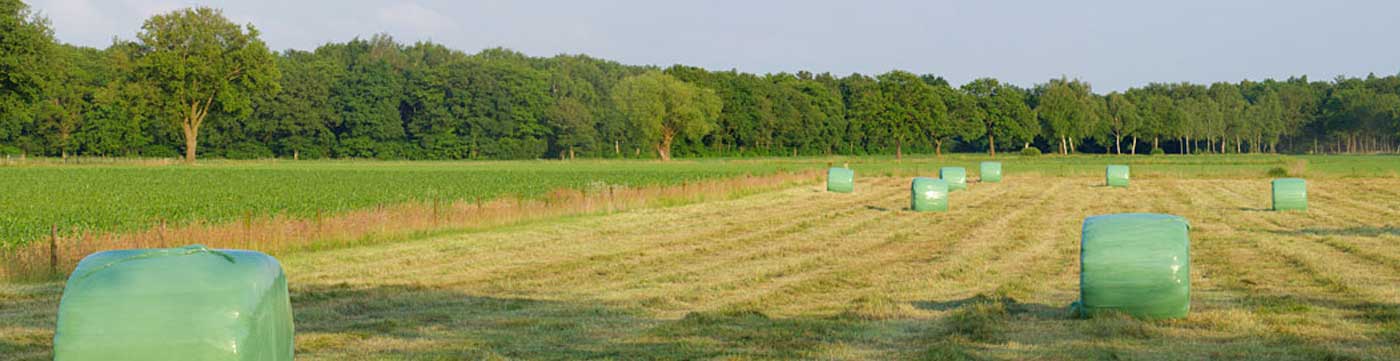 farm field with baled hay