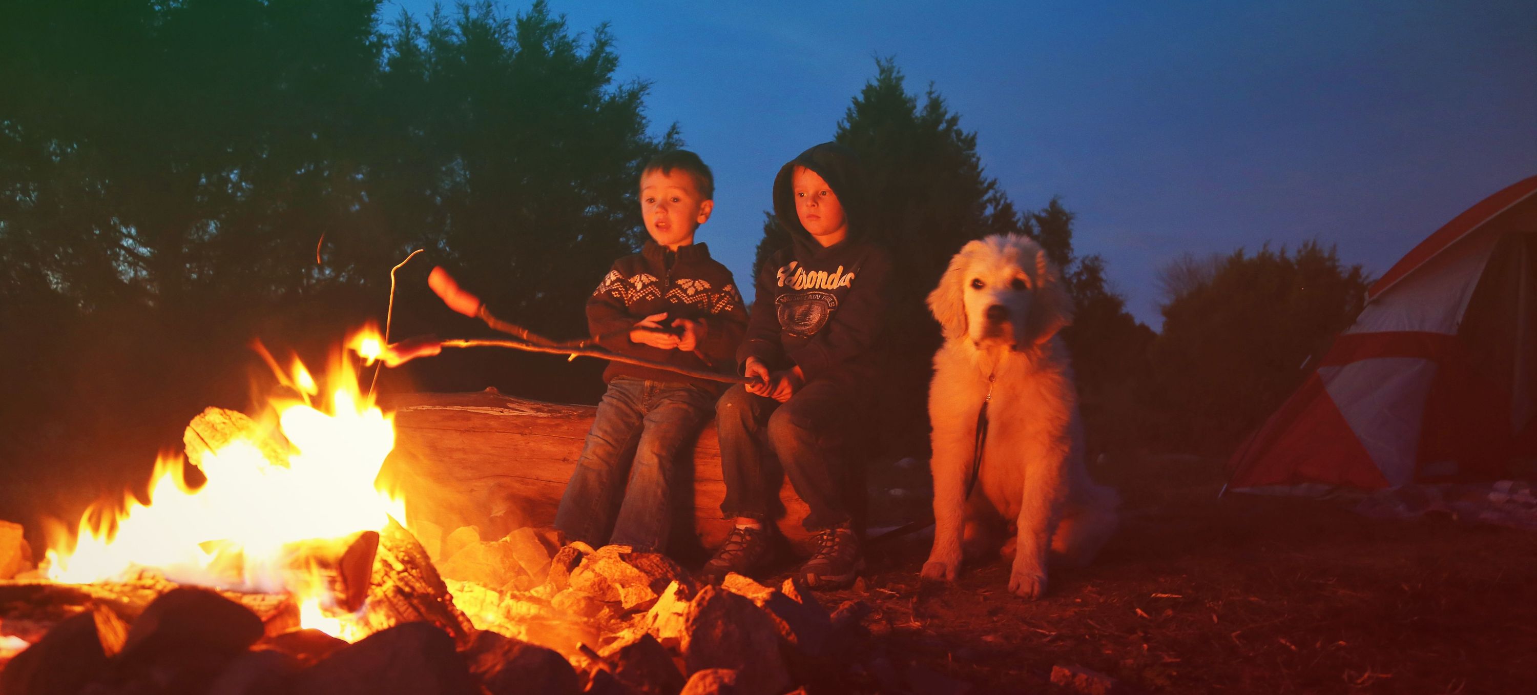 kids and dog at campfire