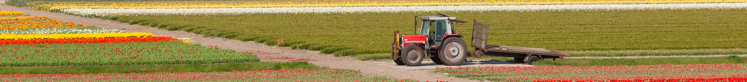 red tracktor in field