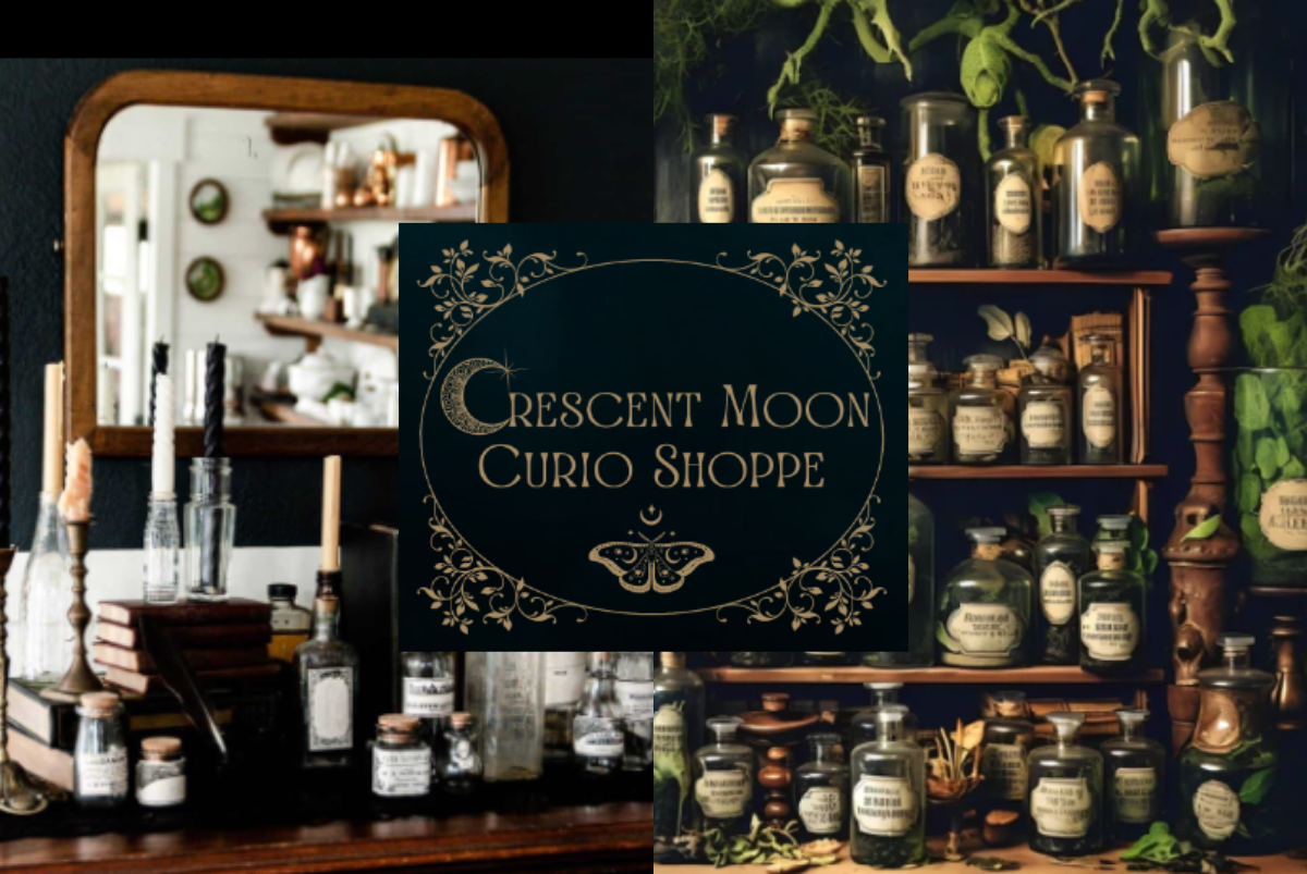 Crescent Moon Curio Shoppe - Now Open! Photo