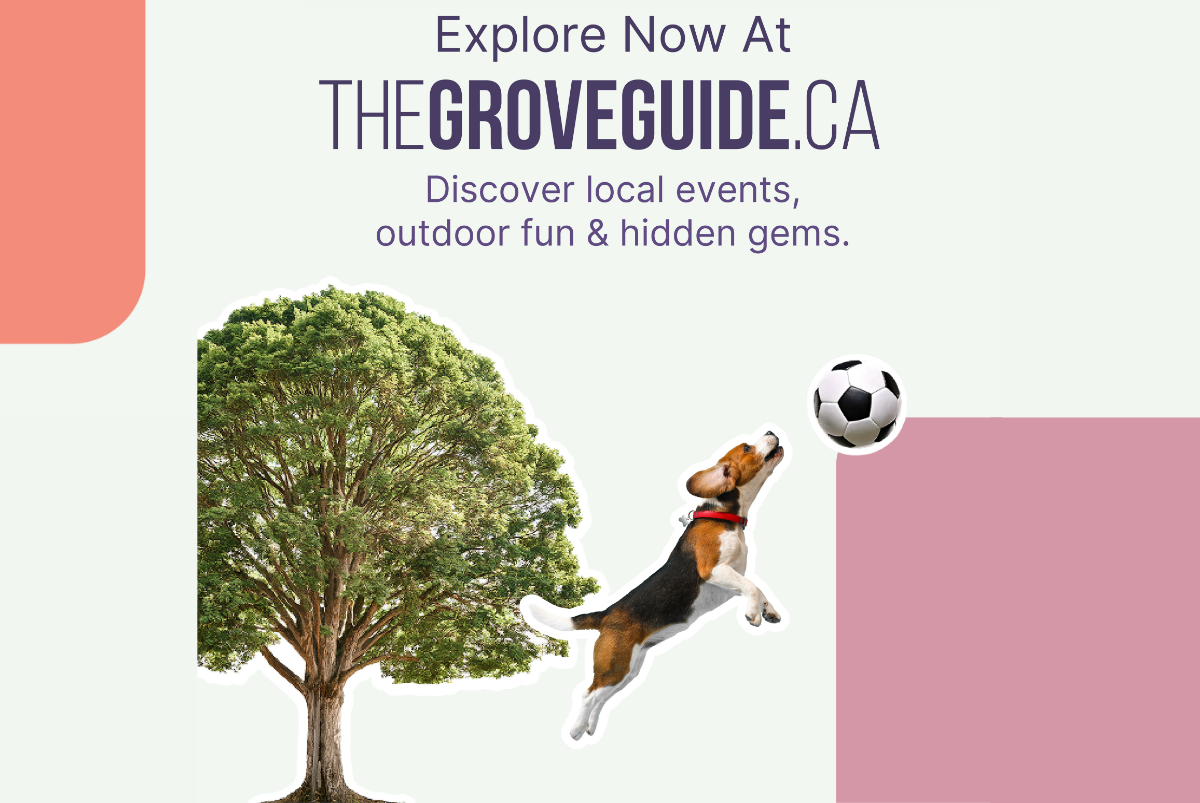 City Launches New Online Destination Guide Photo - Click Here to See