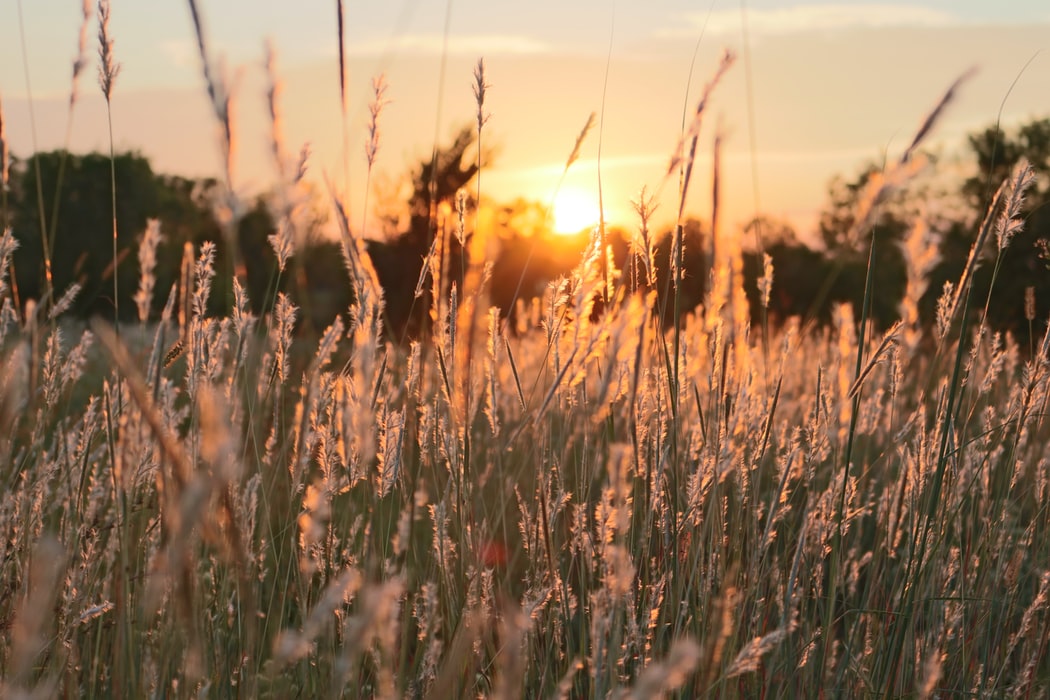 Where to Hunt in Montgomery County This Hunting Season Photo