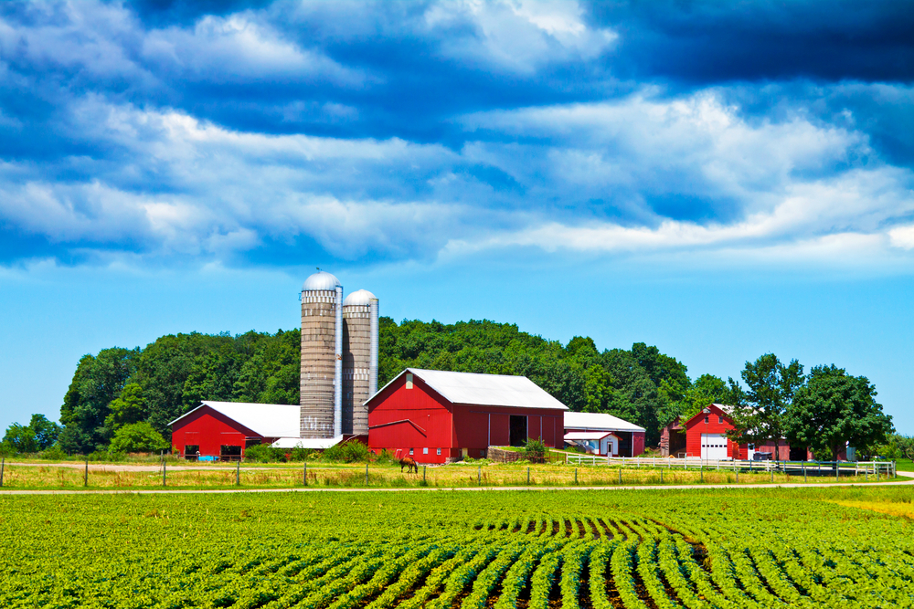 Day on the Farm offers ag education Photo