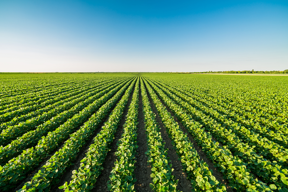 Gage county farm families receive AKSARBEN awards Main Photo